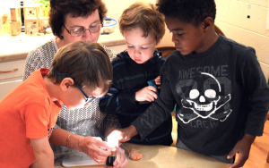 Read more about the article CDCLR Earns Virginia’s Highest Quality Score